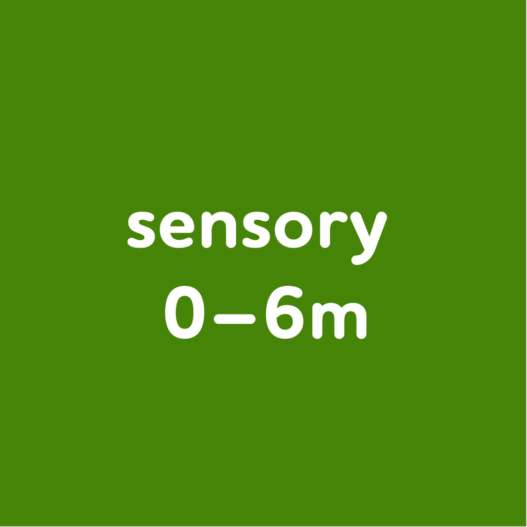 orange gradient that says "sensory 0 to 6 months"