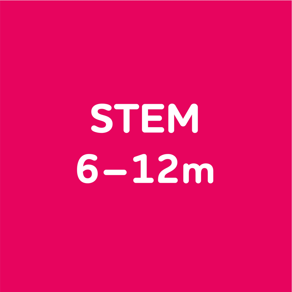 yellow gradient that says "stem 6 to 12 months"