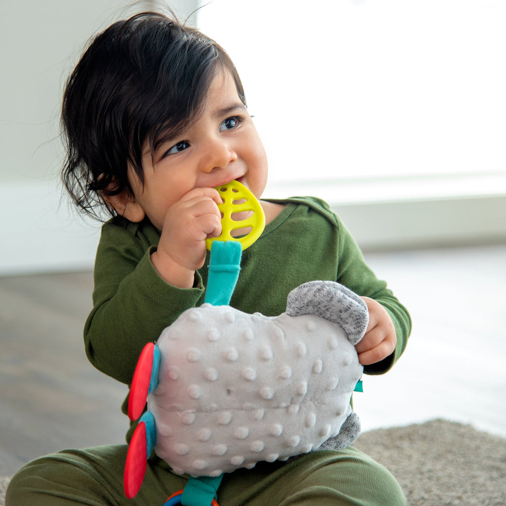 baby using the leaf teether on the soft koala toy in baby's mouth