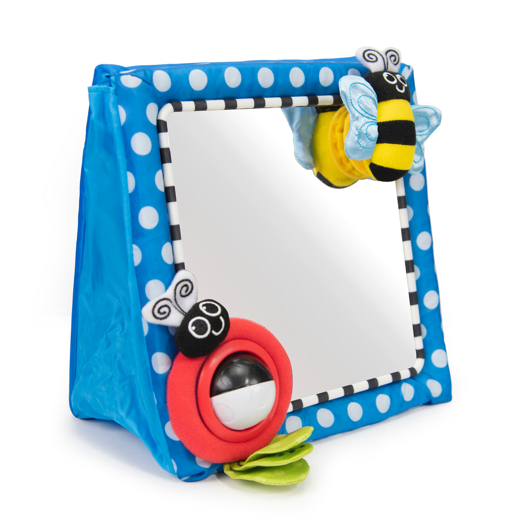 mirror with blue and white polka dot frame. frame has a soft yellow bee in one corner and a red ladybug in another corner. 